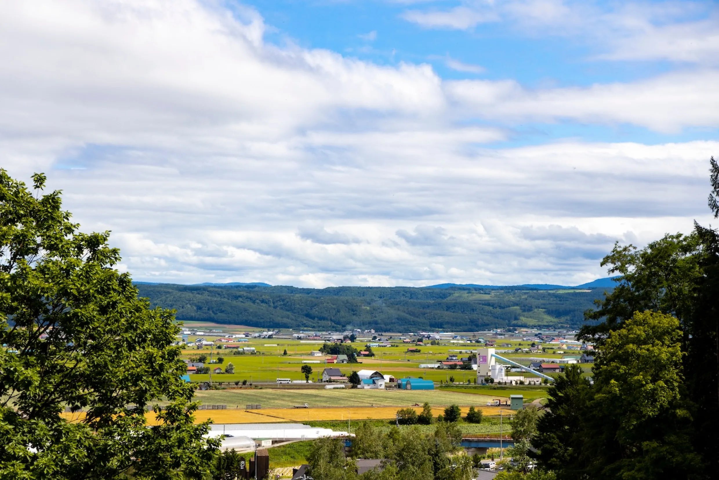 地域密着型の
            ホームページ制作